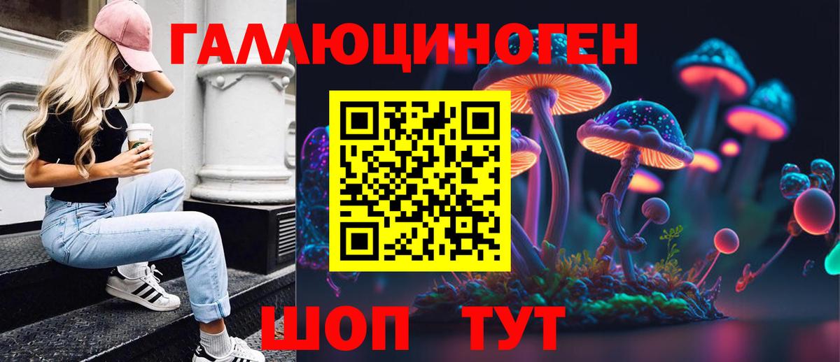 Псилоцибиновые грибы Psilocybe Вязьма