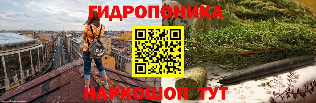 Вязьма  Канабис план  Вход с VPN  Шишки марихуана White Widow  Конопля планчик  Канабис Ganja 
